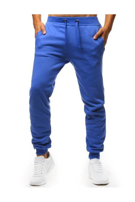 Vyriškos mėlynos sportinės kelnės Dstreet DS-ux2710