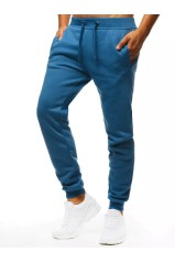 Vyriškos mėlynos sportinės kelnės Dstreet DS-ux3632